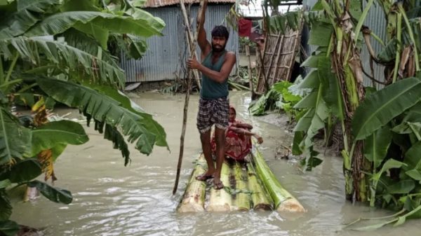 বগুড়ার সারিয়াকান্দি ও ধুনটে যমুনা নদীর পানি বিপৎসীমার ওপরে