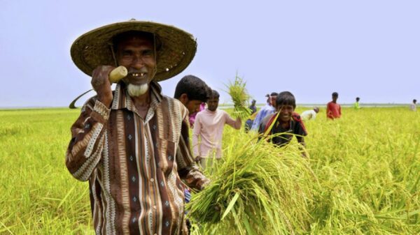 ৩৮ হাজার কোটি টাকার কৃষি ও পল্লী ঋণ বিতরণের লক্ষ্যমাত্রা নির্ধারণ