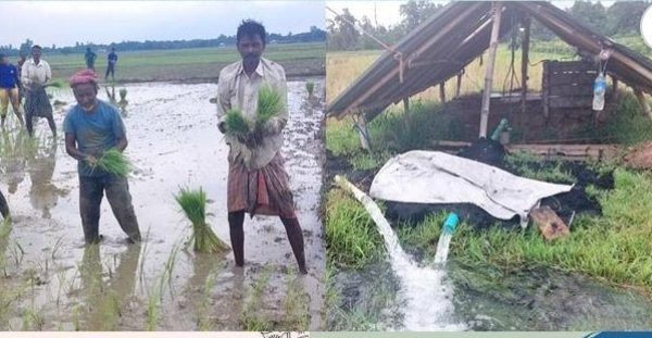 সান্তাহার ৫০ মেগাওয়াট পিকিং পাওয়ার প্লান্ট, খুলে গেছে সম্ভাবনার দ্বার