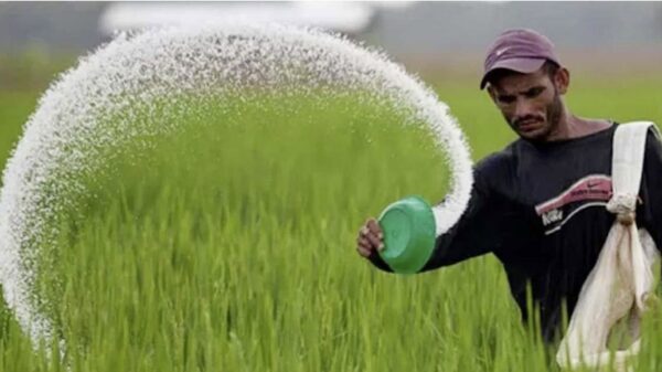 ৯০ হাজার টন সার ও ২০ হাজার টন ডাল কিনবে সরকার