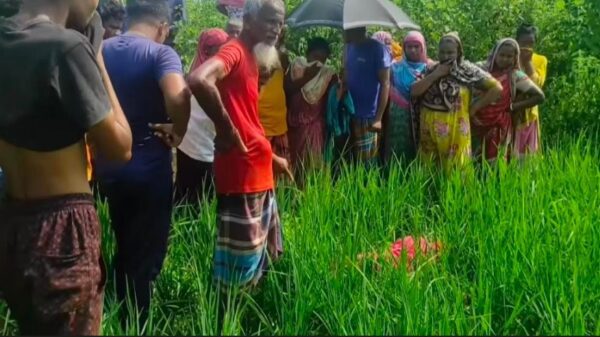 বিরামপুর ধানক্ষেত থেকে নারীর ম'' র' দে'হ উদ্ধার