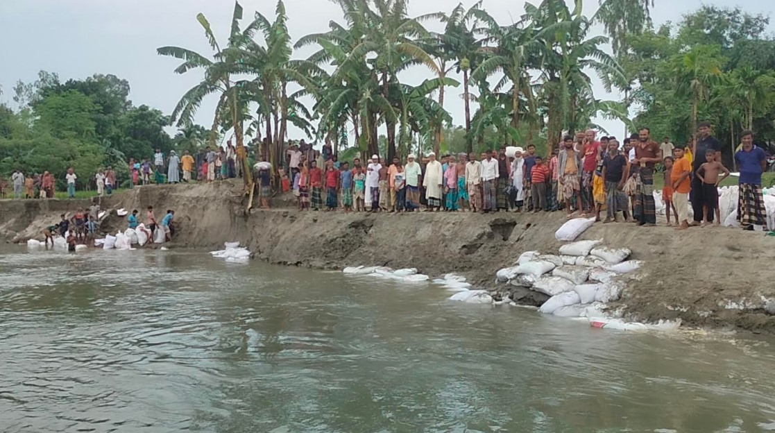 ভূরুঙ্গামারীর নদীর তীব্র ভাঙন, ঘর বাড়ি-ফসলি জমি রক্ষায় সেচ্ছাশ্রমে ভাঙন রোধের চেষ্টা গ্রামবাসীর    