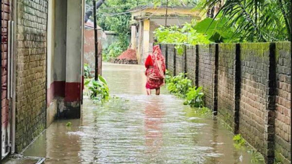 টানা বৃষ্টিতে শার্শার বিভিন্ন এলাকা প্লাবিত, তলিয়ে গেছে আমন ক্ষেত