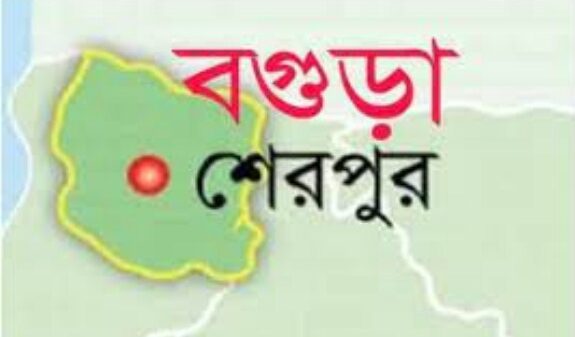 শেরপুরে সড়কে গাছ ফেলে ৮ লাখ টাকার মহিষসহ পিকআপ ছিনতাই