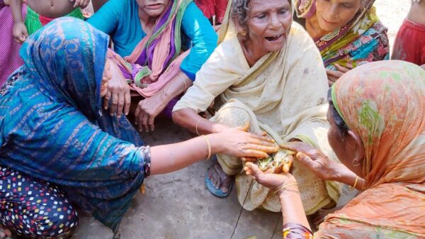 বৃষ্টি কামনায় আড়ম্বরে ব্যাঙের বিয়ে