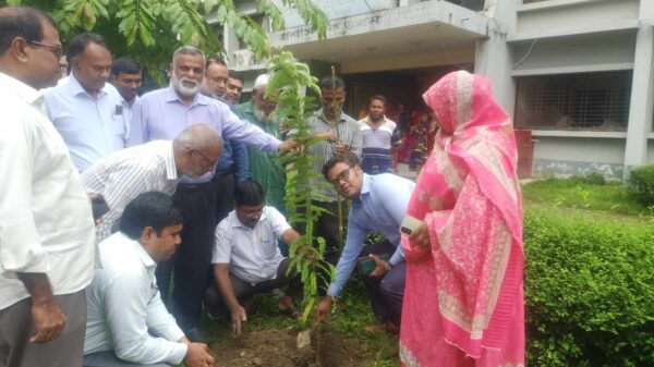 নওগাঁর বদলগাছীতে বৃক্ষ রোপণ কর্মসূচী পালন।