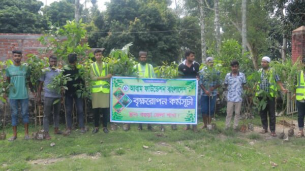 বগুড়ায় আবাম ফাউন্ডেশন বাংলাদেশের বৃক্ষরোপণ 