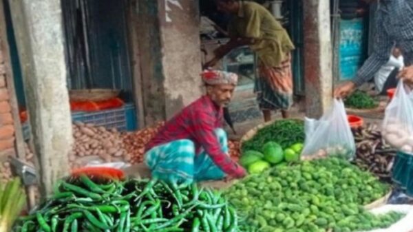 বেনাপোল দিয়ে ৯দিনে ১ হাজার ৪২১ টন কাঁচা মরিচ আমদানি