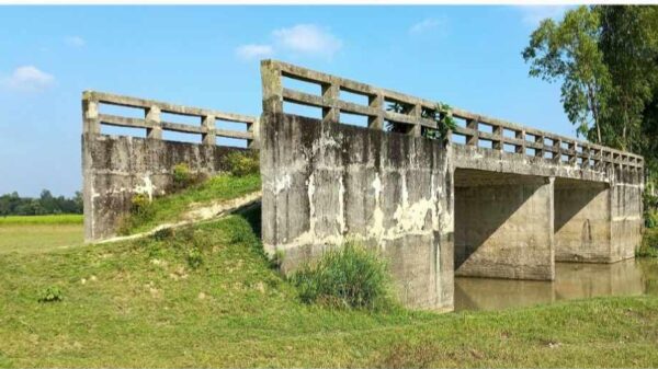 উল্লাপাড়ায় বাসাবাড়ি জোলার কালভার্ট চলাচল অযোগ্য, জনদূর্ভোগে মানুষ