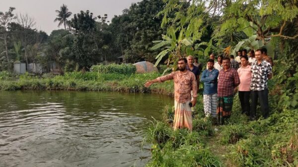 সাঁথিয়ায় মৎস্য চাষের আড়ালে মাছ চুরির অভিযোগ