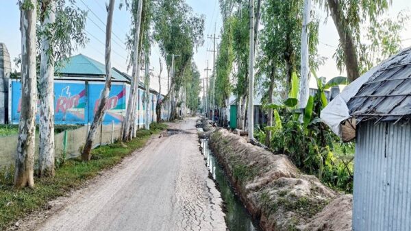 শেরপুরে শেরুয়া-ভবানীপুর রাস্তার কাজে ধীরগতি, বাড়ছে জনদুর্ভোগ