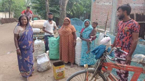 যশোরের শার্শায় ৭ শতাধিক পরিবারের শামুক বিক্রি করে সংসার চলছে