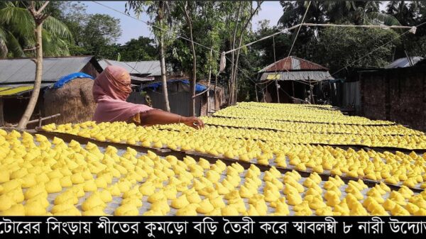 শীতের কুমড়ো বড়ি তৈরী করে স্বাবলম্বী ৮নারী উদ্যোক্তা