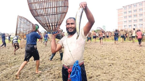 চলনবিলে শৌখিন মৎস্য শিকারীদের পলো উৎসব