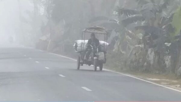 কুড়িগ্রামে তাপমাত্রা ১৫.৬ ডিগ্রি, কুয়াশায় মহাসড়ক