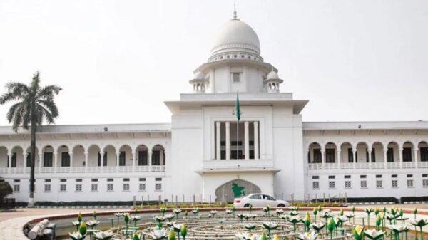 ব্যাটারিচালিত রিকশা চলাচলে নিষেধাজ্ঞার বিরুদ্ধে আপিলের সিদ্ধান্ত