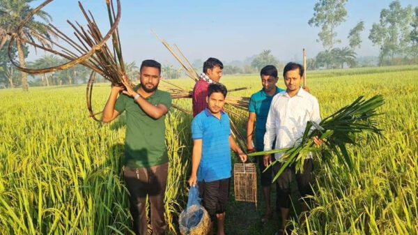 চলনবিলে পরিবেশ রক্ষায় উদ্যমী সেচ্ছাসেবী যুবকরা