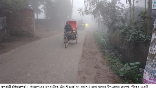 ফুলবাড়ীতে শীতের প্রকোপ তিনদিন দেখা নেই সূর্যের বিপর্যস্ত জন জীবন