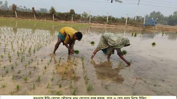 ফুলবাড়ী সরকারি কলেজে দু'দিন ব্যাপী তারুণ্যের উৎসব