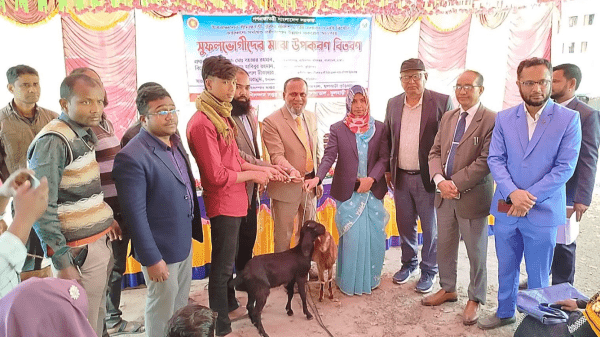 কুড়িগ্রামের ফুলবাড়ীতে সুফলভোগীদের মাঝে ছাগল বিতরণ