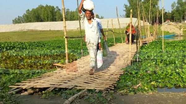 উল্লাপাড়ায় কালিগঞ্জ খেয়া ঘাটে পারাপারের মাধ্যমে এখন বাঁশের স্যাকো