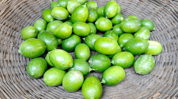 হিলিতে কদর বেড়েছে লেবুর