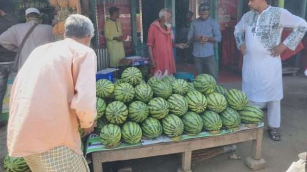 ফুলবাড়ীতে হাটবাজারে তরমুজের পসরা পিস দরে কিনে কেজি দরে বিক্রি