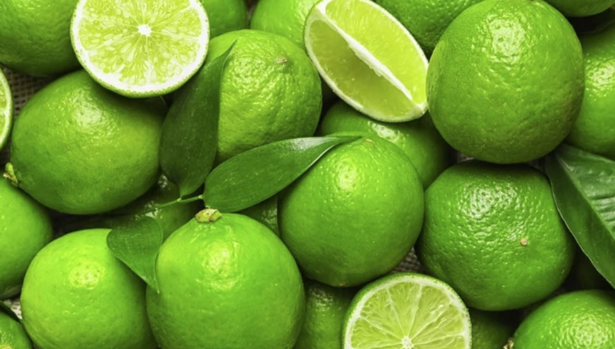 রমজানের আগে বগুড়ায় লেবুর দাম হালি ৫০ টাকা