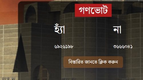 গণভোটে বিপুল হ্যাঁ, জুলাই সনদের পক্ষে জনমতের রায়