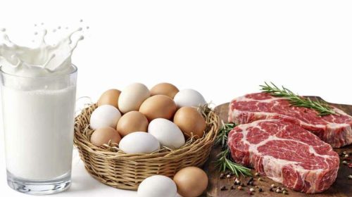 রমজানে ১০ লাখ নিম্ন আয়ের পরিবারকে সুলভ মূল্যে ডিম-দুধ-মাংস দেবে সরকার