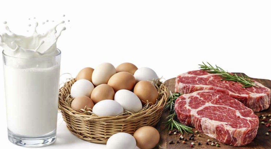 রমজানে ১০ লাখ নিম্ন আয়ের পরিবারকে সুলভ মূল্যে ডিম-দুধ-মাংস দেবে সরকার