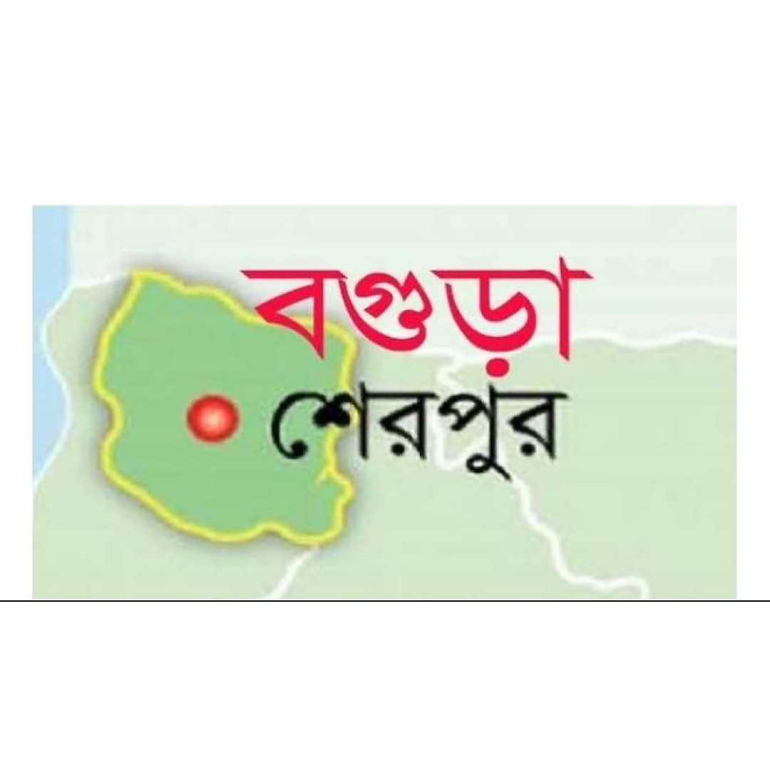 শেরপুরে সরকারি কাজে বাধা ও ট্রাফিক পুলিশের ওপর হামলা, চালক গ্রেফতার