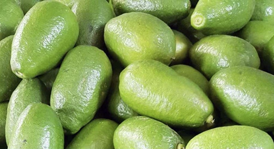 লেবুর দাম চারগুণ বেড়ে ১০০ টাকা হালি