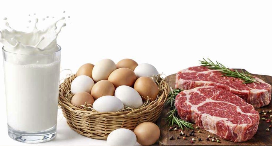 রমজানে ১০ লাখ পরিবারকে ন্যায্যমূল্যে ডিম-দুধ-মাংস সরবরাহ: প্রতিমন্ত্রী