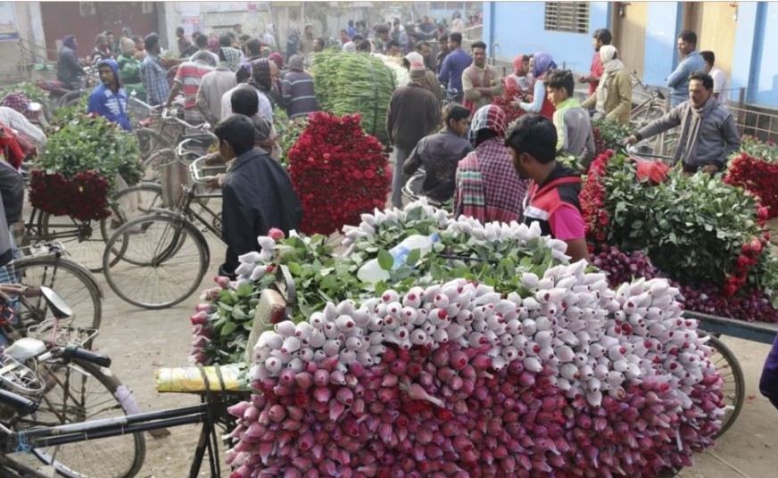 ফুল বিক্রি না হওয়ায় গদখালীর চাষিদের মিলিয়ন ডলার ক্ষতির শঙ্কা