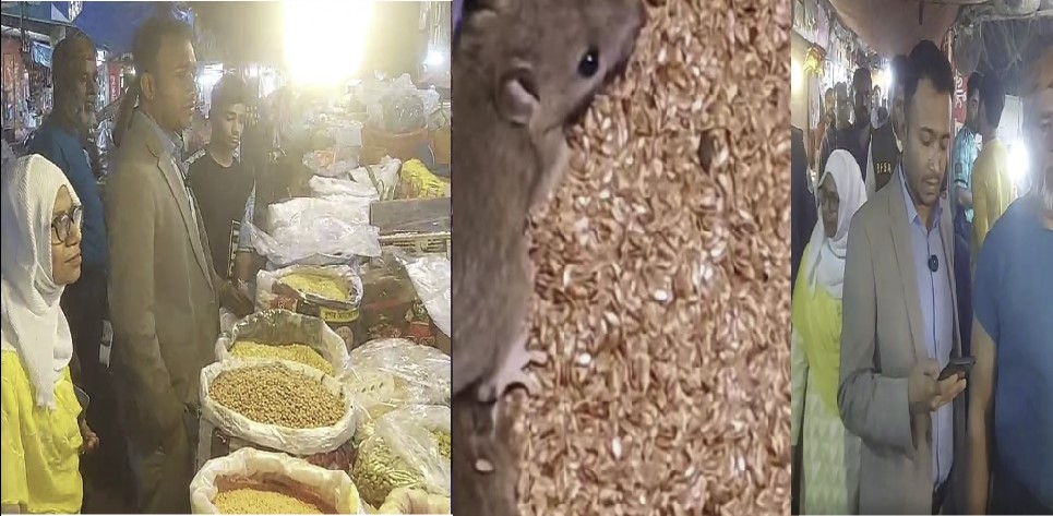 বগুড়ায় মসলার ড্রামে ইঁদুর, অভিযানে ব্যবসায়ীকে জরিমানা ২৫ হাজার