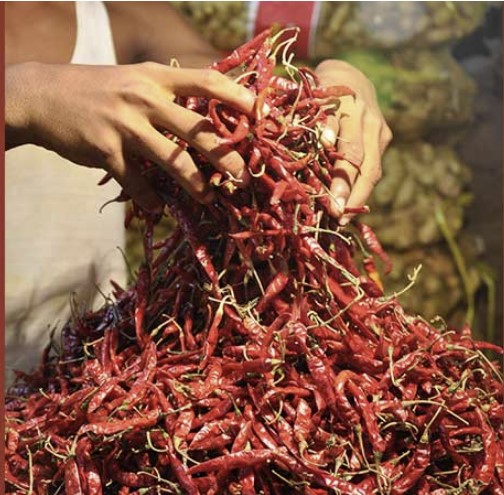 ভোমরা বন্দর দিয়ে শুকনা মরিচের আমদানি কমায়, দাম কেজিতে দাম বেড়েছে ৩০-৩৫ টাকা