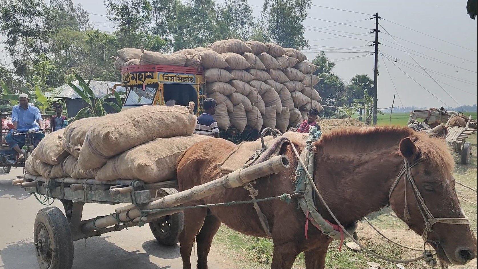 বগুড়ায় ঐতিহ্যের চাকায় ঘুরছে জীবিকা, ঘোড়ার গাড়িতে আলু পরিবহন