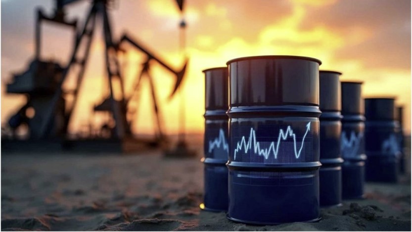 ডিসেল ১১৫, অকটেন লিটার ১৪০ টাকা, বাড়বে সব পন্যর দাম