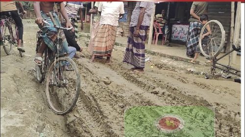 নিম্নমানের উপকরণের অভিযোগ, শেরপুরে এলজিইডির রাস্তার কাজ বন্ধ