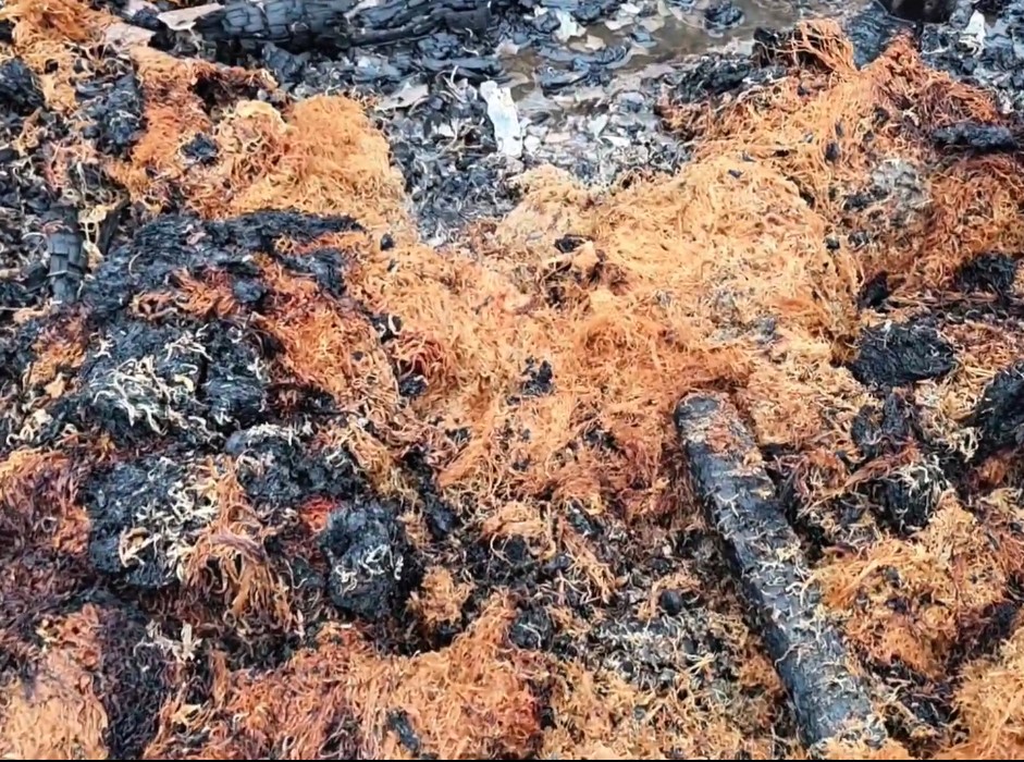 শেরপুরে সেমাই কারখানায় আগুন, ঈদের আগে ক্ষতির মুখে ব্যবসায়ী