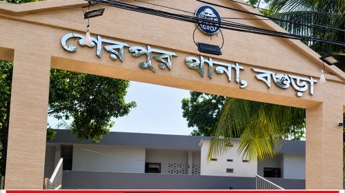 হতাশ বৃদ্ধের প্রাণহীন দেহ মিললো ইউক্যালিপ্টাস গাছে