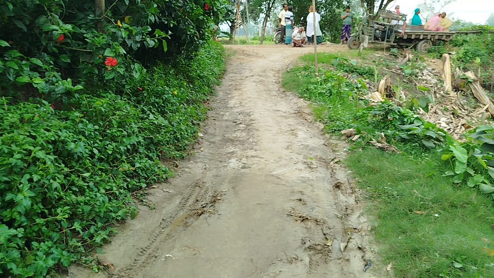 শেরপুরে সরকারি রাস্তার জায়গায় দেয়াল নির্মাণের অভিযোগ