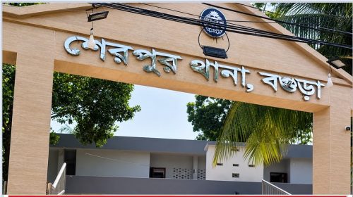 শেরপুরে বাঁশঝাড়ের বিরোধে ভাইয়ের হাতে প্রাণ গেল ভাইয়ের