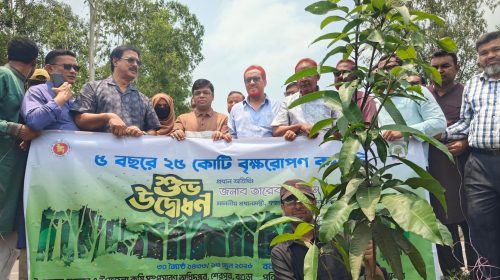 বগুড়ার শেরপুরে ২ হাজার ১২৫টি বৃক্ষ রোপণের উদ্বোধন