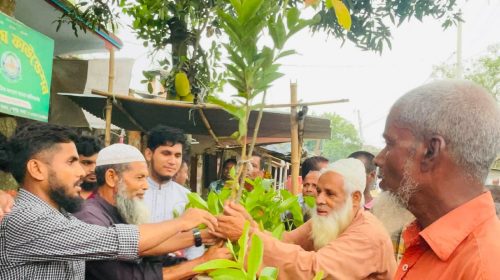 শেরপুরে শান্তি সংঘ ফাউন্ডেশনের উদ্যোগে ৬০০ ফলজ চারা বিতরণ