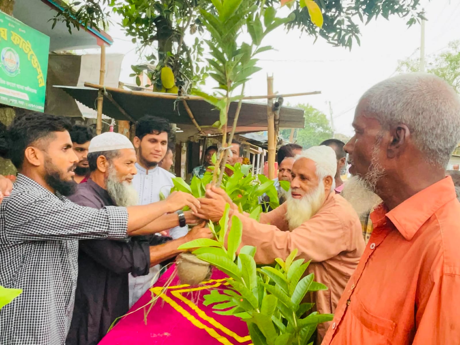 শেরপুরে শান্তি সংঘ ফাউন্ডেশনের উদ্যোগে ৬০০ ফলজ চারা বিতরণ