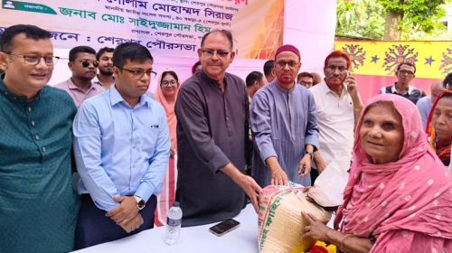শেরপুরে ৫০০ পরিবার পেল মানবিক সহায়তার চাল—পৌরসভায় ৩৩৩ ও মির্জাপুরে ১৬৭ জন সুবিধাভোগী