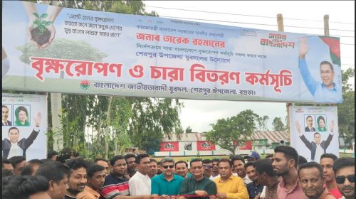 বগুড়ার শেরপুরে যুবদলের চারা বিতরণ ও বৃক্ষরোপণ কর্মসূচি