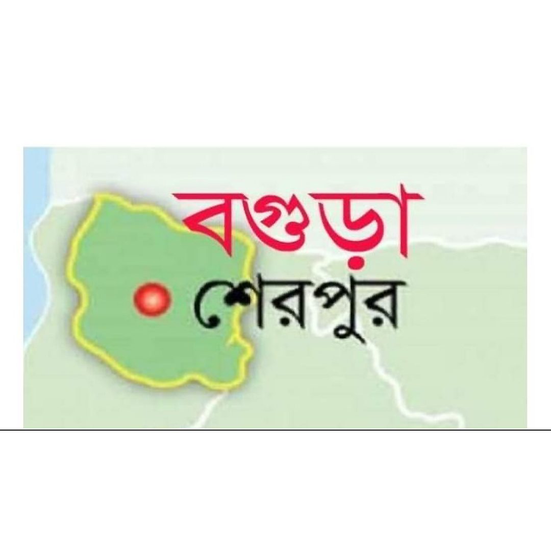 মহাসড়ক পার হতে গিয়ে প্রা- ণ গেল অবসরপ্রাপ্ত সেনা কর্মকর্তার